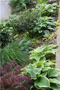 94206ad8-IMG_9928 vrt.jpg